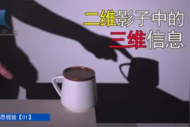 观思假验01：二维影子中的三维信息