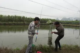 小明和老表花100块钱钓鱼，一个小时收获十多斤，赚了还是亏了视频封面