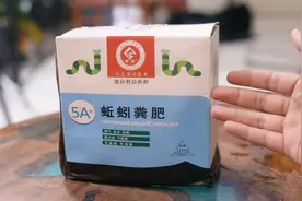 园艺师教你，蚯蚓粪肥养花，可以作为肥料，也可以当土壤直接种花视频封面