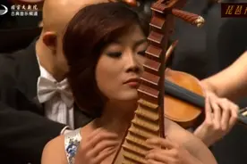 琵琶协奏曲《琵琶行》，美女演奏家杨婷婷精彩演奏，听入神了！视频封面
