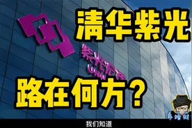 紫光集团 路在何方视频封面