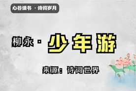 柳永《少年游》鲜衣怒马少年时，中年风霜多怅惘，软肋也会是铠甲视频封面