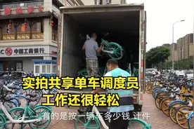 三十六行|共享单车调度员，每天工作8小时，他们说工作还比较轻松视频封面
