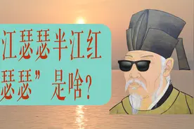 半江瑟瑟半江红，瑟瑟是啥？视频封面