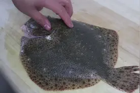 清蒸多宝鱼的详细制作过程，肉质细嫩、营养高，特别适合孩子食用视频封面