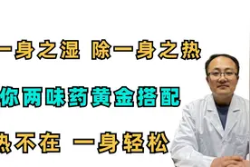 清一身之湿，除一身之热 教你两味药黄金搭配 湿热不再 一身轻松视频封面