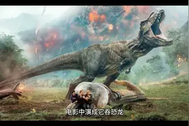 大百科《巨无霸》视频封面