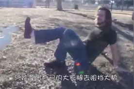 嚣张大鹅袭击男子，谁料男子被揍得“求饶”，网友：太怂了视频封面