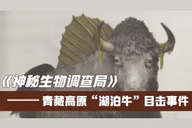 第3期|史前巨鲸？揭秘布达拉宫壁画上的“牛头鱼背”生物视频封面