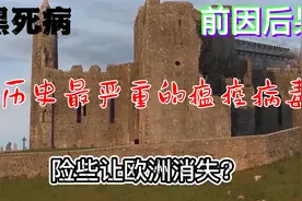 只因卫生环境差，小小老鼠跳蚤竟然让欧洲险些毁灭！视频封面