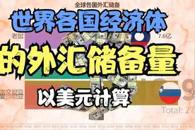 世界各国经济体的外汇储备视频封面