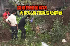 流浪狗被困深坑之中，善良大叔以身饲狗，成功解救狗子！视频封面