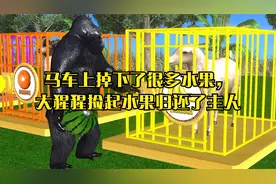 马车上掉下了很多水果，大猩猩捡起水果归还了主人视频封面