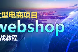 webshop电商项目实战-073-数据接口(api)应用的搭建视频封面