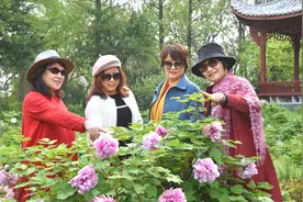遍洒芬芳 同醉天涯│安庆莲湖公园牡丹园庚子之春巡览视频封面
