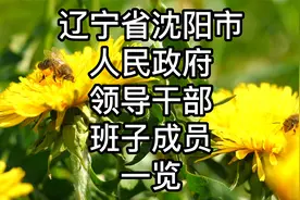 辽宁省沈阳市人民政府领导干部班子成员一览视频封面