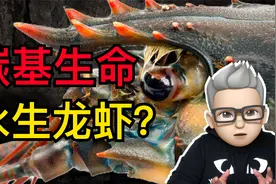 人和龙虾都是碳基生命，为何理论上龙虾可以永生，而人类却不行呢视频封面