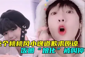 风小逸开小号道歉求原谅，想换风格重新捞金，却遭网友新一轮举报视频封面
