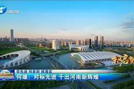 何雄：对标先进 干出河南新辉煌视频封面