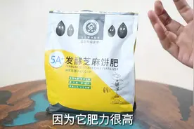 养花种菜用什么有机肥？园艺师教你，用有机芝麻饼肥视频封面