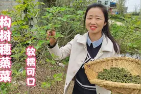 小峰采摘新鲜构树花穗，拌面蒸10分钟，淋上蒜汁鲜香软糯真好吃