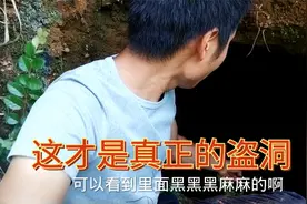 探秘四年前的盗洞，原本以为只是一个传说，没想到被人捷足先登视频封面