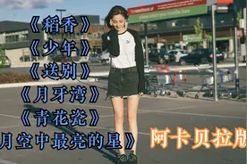 阿卡贝拉版《少年》《稻香》《青花瓷》《月牙湾》《送别》视频封面