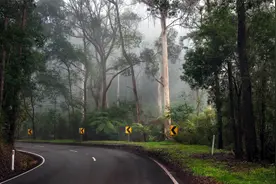你会哭着笑，笑着哭，是因为你的心，早已超越了自己啊。视频封面