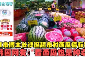 日本博主长沙逛超市对西瓜情有独钟，韩国网友：看西瓜也是种幸福视频封面