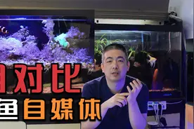 饲养观赏鱼与自媒体平台相对比，博主就像过滤器，粉丝好比过滤棉视频封面