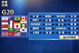 G20是个什么样的组织视频封面