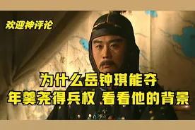 雍正王朝：为什么岳钟琪能夺取年羹尧的兵权，看看他的背景就知道视频封面