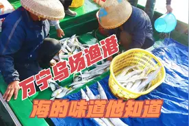 海南自驾来万宁，不能不去乌场渔港，人都说海的味道他知道视频封面