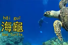 一百种动物的中文名称