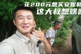 路人花200块买我金毛，主人说10万也不卖，这场面太搞笑了视频封面