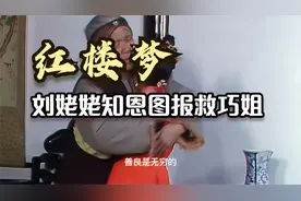 刘姥姥三进贾府 每次都不简单 终救助者变成救世主视频封面