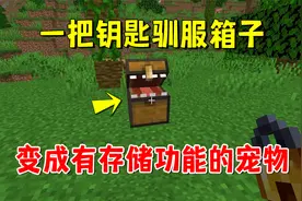 我的世界幸运宝箱怪2：一把钥匙驯服箱子，变成有存储功能的宠物视频封面