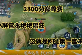 2300分巅峰赛 小胖宫本把把猖狂 这就是KPL第一宫本！视频封面