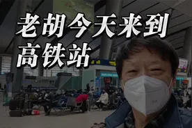 老胡今天来到高铁站，看到一些不怕疫情和顾不上害怕的人视频封面