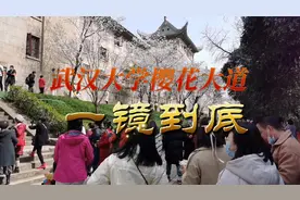 3月9日武汉大学樱花大道一镜到底，樱花进入盛开期，你去打卡了吗视频封面