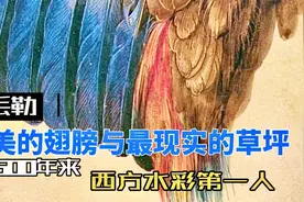 500年来欧洲水彩第一人，丟勒笔下最美的翅膀@西瓜视频创作中心视频封面