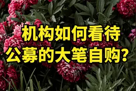 机构如何解读公募基金的自购潮，是要见底了吗？视频封面
