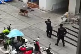 重庆警方回应：三民警当街枪杀德牧 系接报警称有流浪犬扑咬群众视频封面