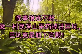 怪事接连不断，安徽一村民深山采药掉进巨坑，巨坑竟是地下宫殿！视频封面