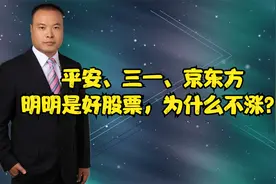 平安、三一、京东方，明明是好股票，为什么不涨？视频封面
