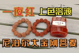 金刚菩提子使用一夜红上色溶液浸泡后的上色效果【金刚第三期】