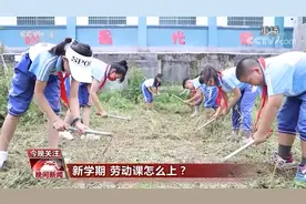 新学期全国各地的“劳动课”怎么上？央视记者一线探班视频封面