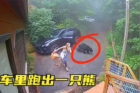 7个让人印象深刻的时刻，女子往车里放东西却发现一只熊在车里视频封面