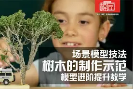 模型场景树木的制作技法视频封面