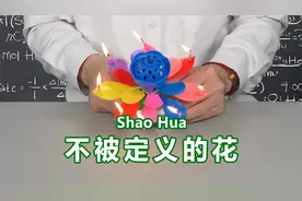 童年超火的生日莲花？一年响一次，一次响一年！视频封面